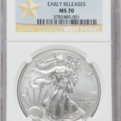 2013 (New) American Eagle Walking Liberty Silver 1 oz Burnished Coin NGC MS70 (Early Releases)
