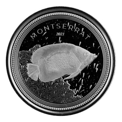 2021 (New) Montserrat Blue Girdled Angelfish Silver 1 oz Coin