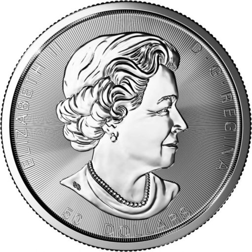 2021 (New) Canada Magnificent Maple Leaves 10 oz $50 Silver Coin - Image 2