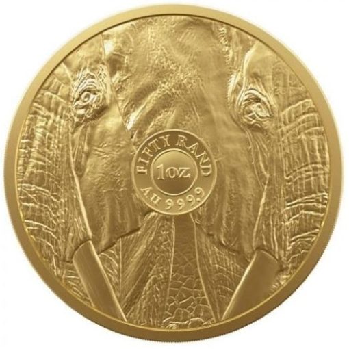 2022 (New) South Africa Big Five Elephant Gold 1 oz Coin - Image 2