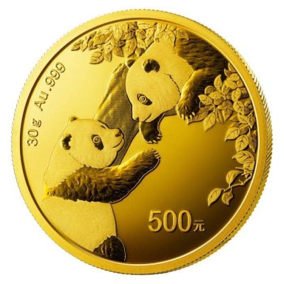 2023 (New) Chinese Panda Gold 30 gram Coin
