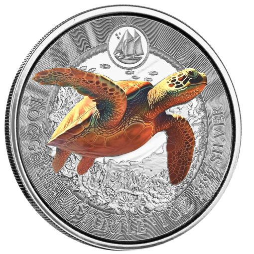2023年 (新品) ケイマン諸島「アカウミガメ」純銀 1オンス カラープルーフ 銀貨 - 画像 (3)