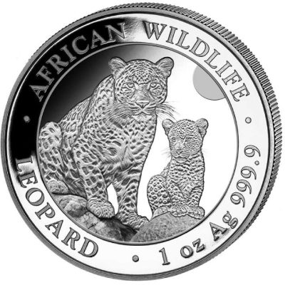 2024 (New) Somalia African Wildlife Leopard Silver 1 oz Coin