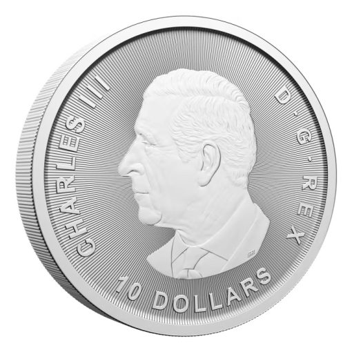 2025 (New) Canada Goose Silver 2 oz Coin - Image 4