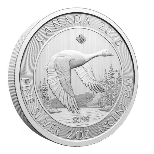 2025 (New) Canada Goose Silver 2 oz Coin - Image 3