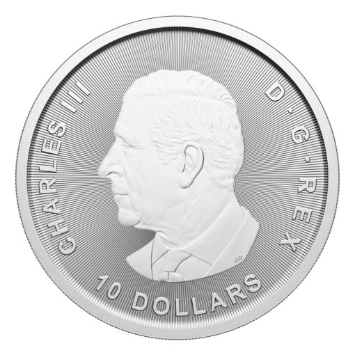2025 (New) Canada Goose Silver 2 oz Coin - Image 2