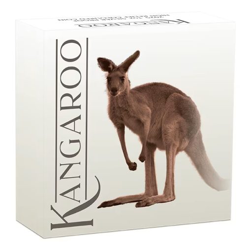 2025 (New) Australian Kangaroo Perth Mint Silver 1 oz High Relief Color Proof Coin - Image 5
