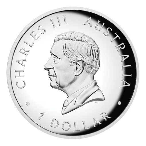 2025 (New) Australian Kangaroo Perth Mint Silver 1 oz High Relief Color Proof Coin - Image 3