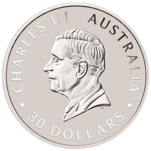 2025 (New) Australian Koala Perth Mint Silver 1 Kilogram Coin - Image 2