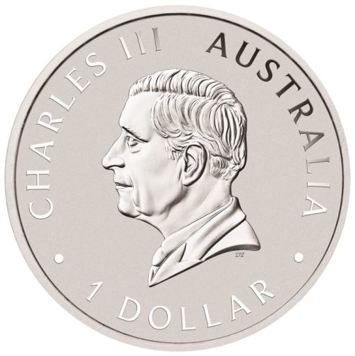 2025 (New) Australian Koala Perth Mint Silver 1 oz Coin - Image 2