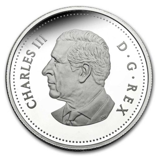 2024 (New) Canada 100th Anniversary of the Royal Canadian Air Force Silver 3/4 oz Proof Coin - Image 3