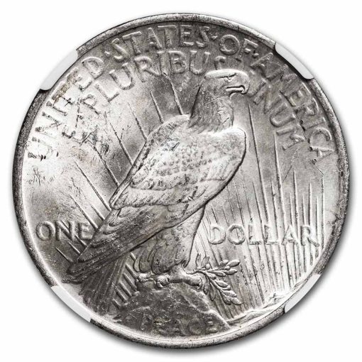 1923年 アメリカ ピースドル 90% 銀 流通 銀貨 NGC MS64 (ランダムラベル) - 画像 (3)