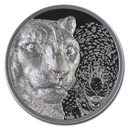 2024年 (新品) モンゴル「ユキヒョウ」純銀 2オンス PCGS PR70 プルーフ 銀貨 (発行初日) - 画像 (2)