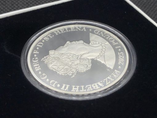 2023 (New) St. Helena Faerie Queene Series Una And The Lion Silver 1 oz Proof Coin #8835 - Image 7