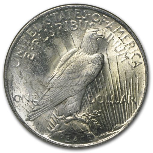 1921-1935 USA Peace Dollar 90% Silver Circulated Coin NGC MS64 (Random Year) - Image 3