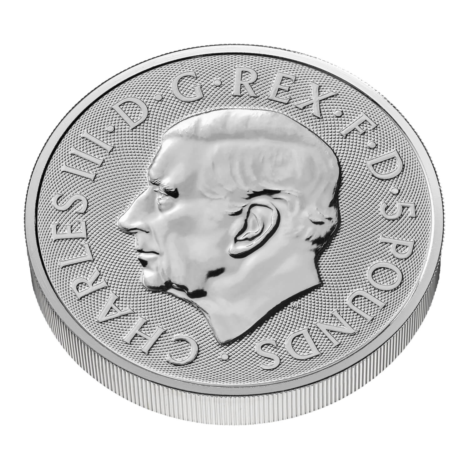 2026年 (新品) イギリス「ロイヤルチューダービースト・女王のライオン