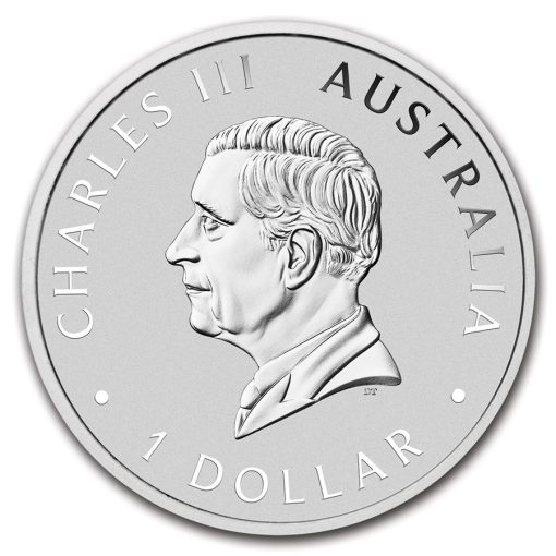 2024 (New) Australian Wombat Silver 1 oz Color Coin - Image 2