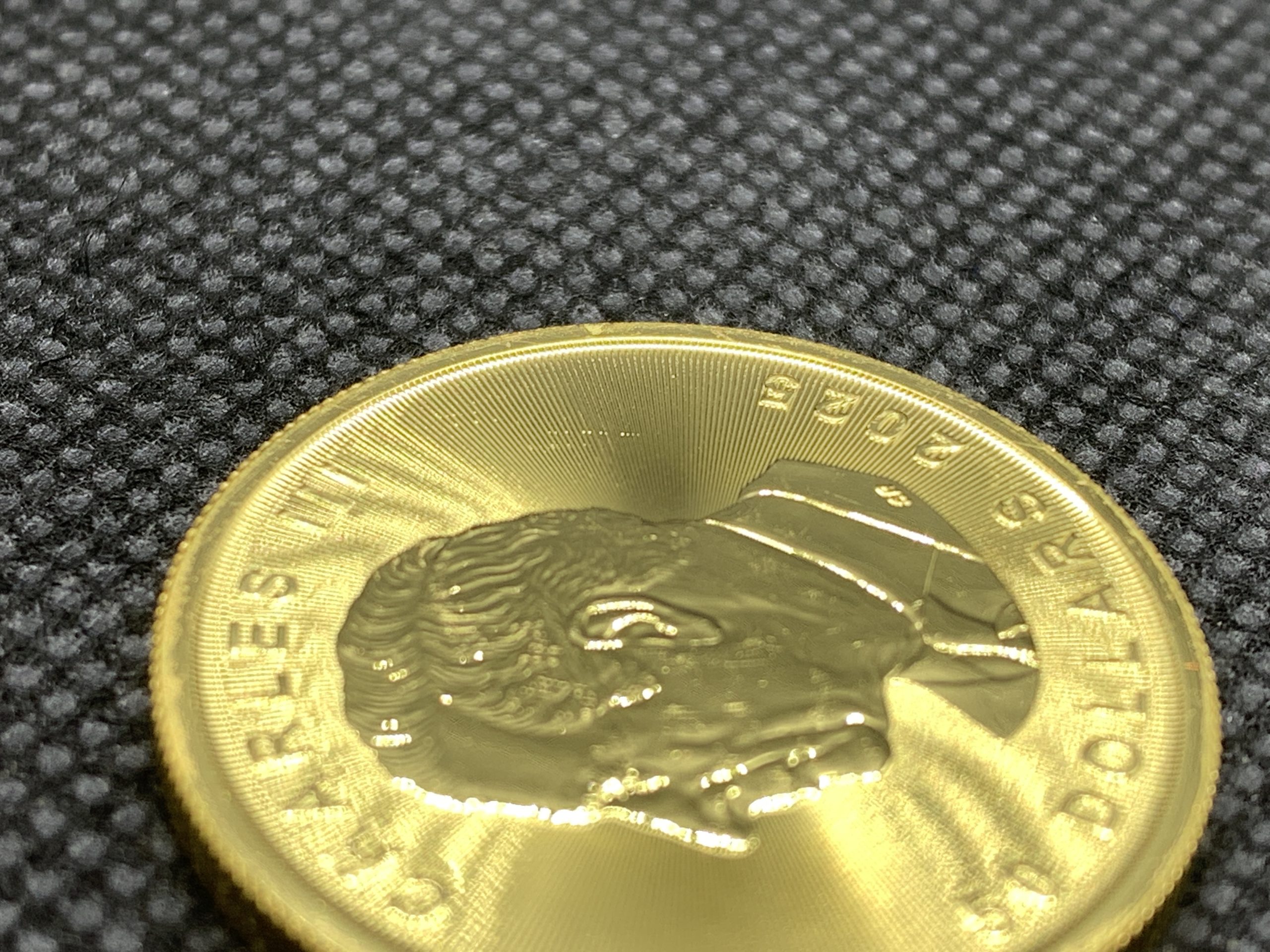 2025年 (新品) カナダ「メイプルリーフ」純金 1オンス 金貨 #11843 - 画像 (8)