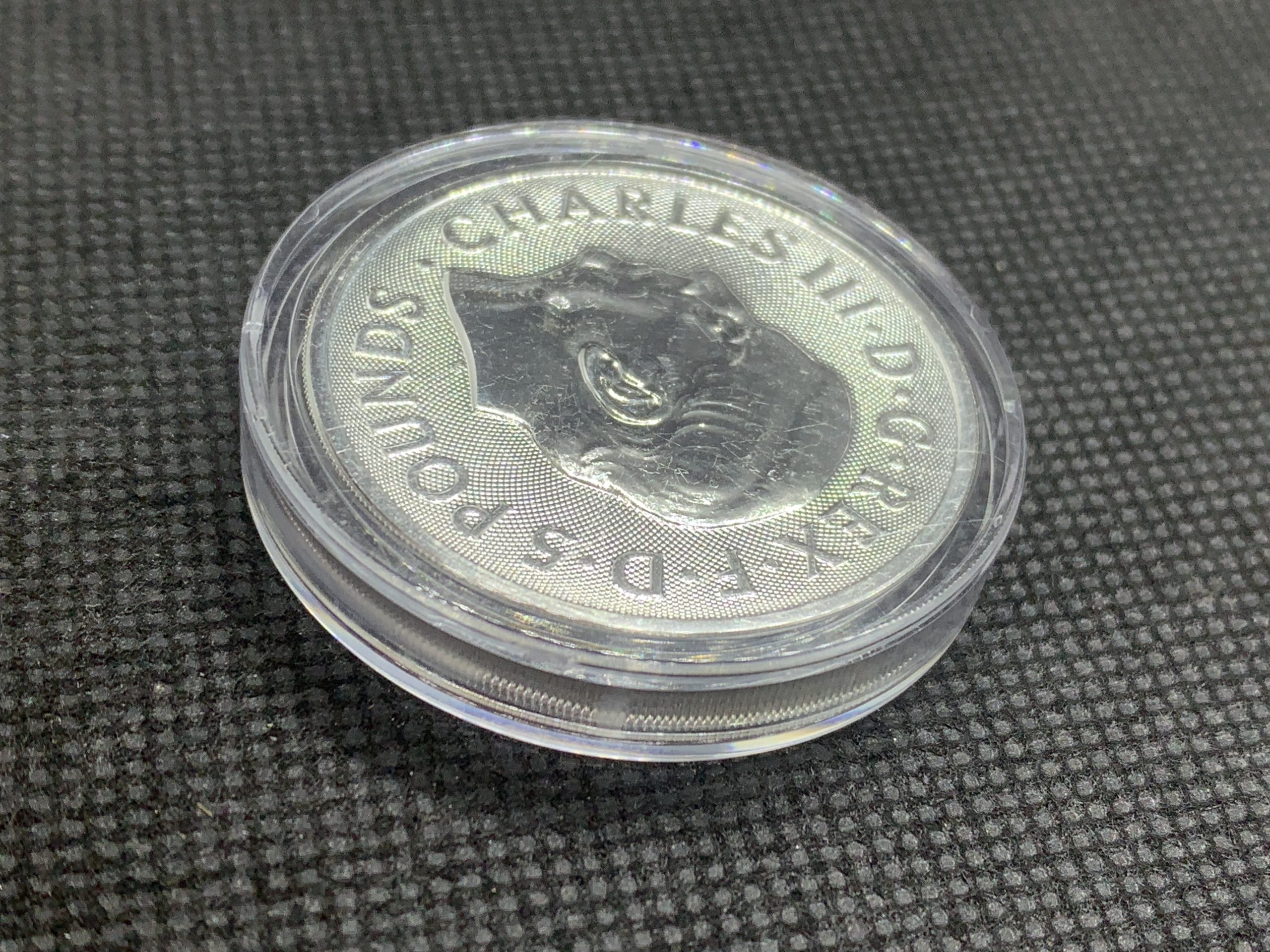 2025年 (新品) イギリス「ロイヤルチューダービースト・リッチモンドの