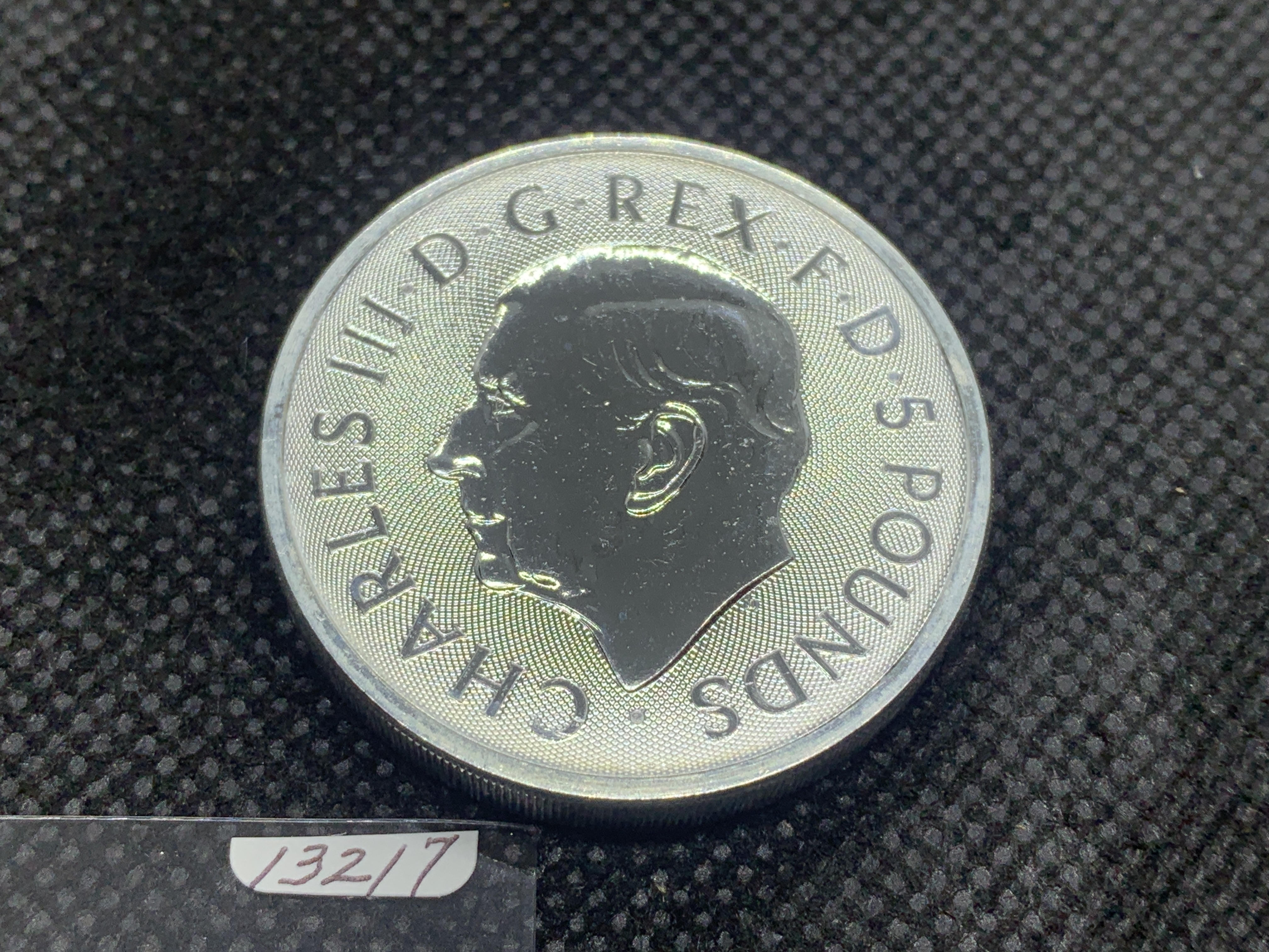 2024年 (新品) イギリス「ロイヤルチューダービースト・シーモアの