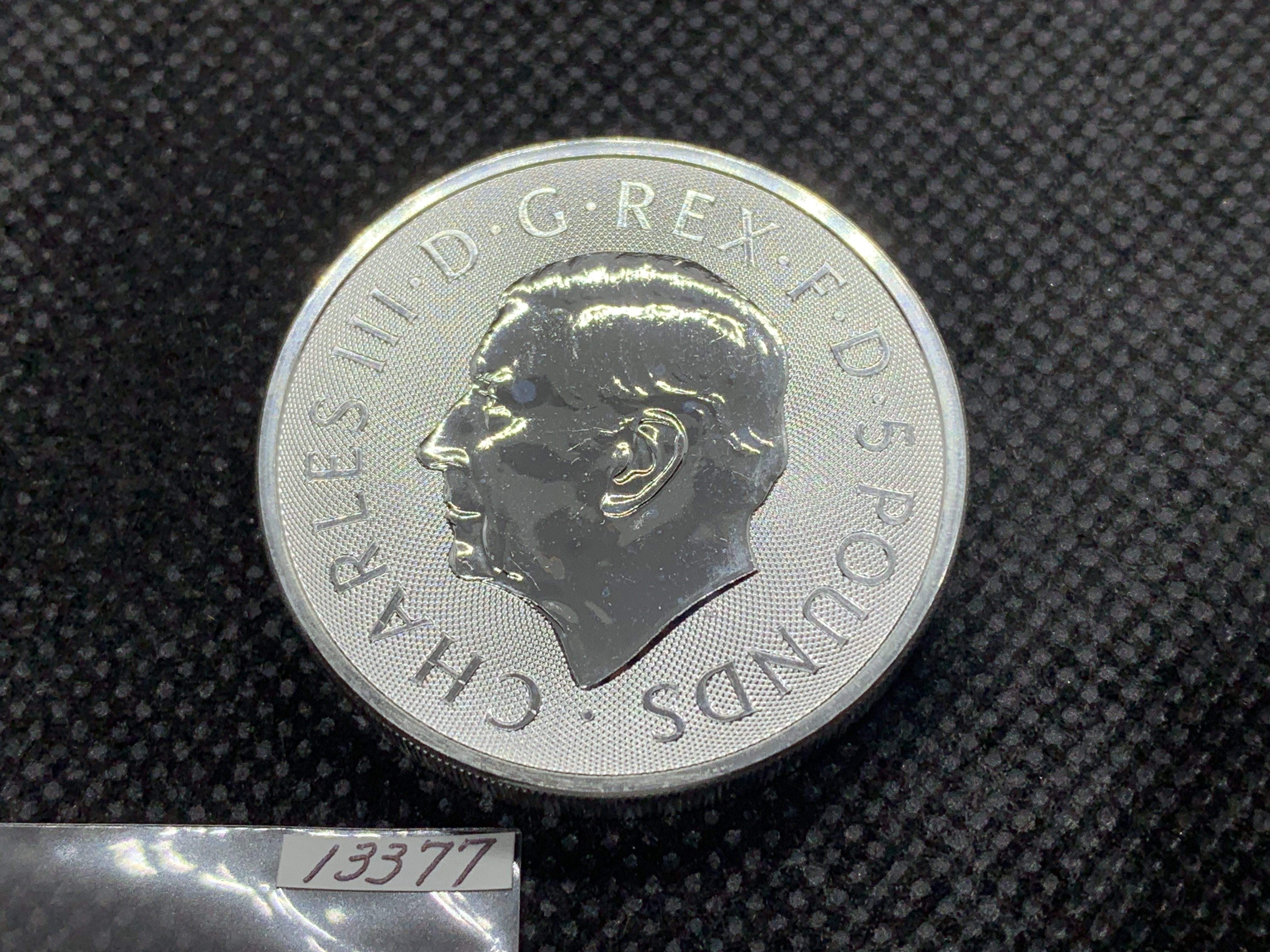 2026年 (新品) イギリス「ロイヤルチューダービースト・ロイヤル