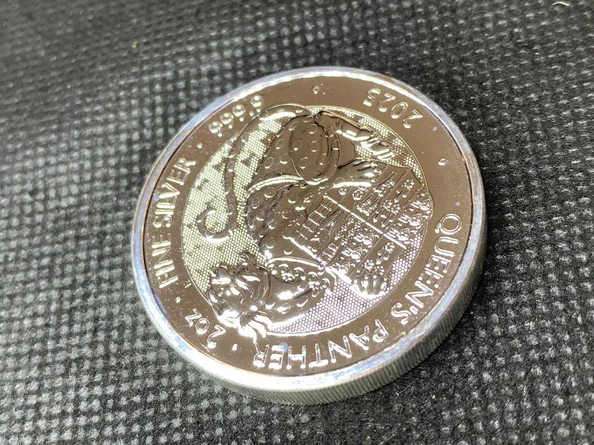 2025年 (新品) イギリス「ロイヤルチューダービースト・女王のパンサー