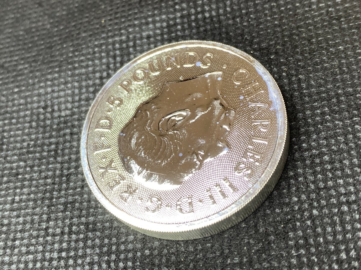 2025年 (新品) イギリス「ロイヤルチューダービースト・女王のパンサー