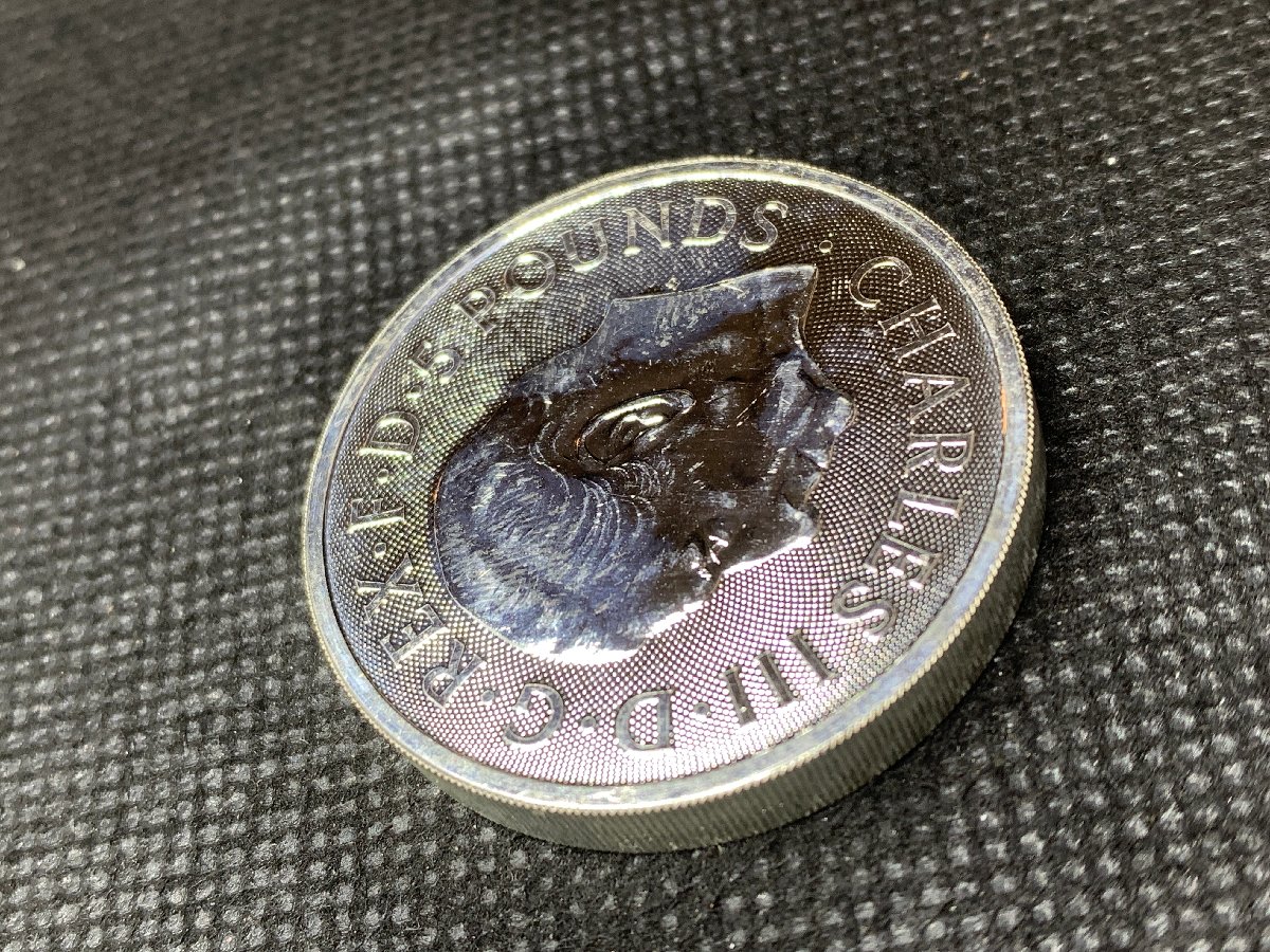 2025年 (新品) イギリス「ロイヤルチューダービースト・女王のパンサー